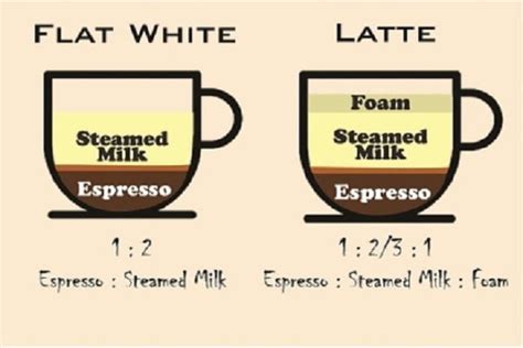 Flat White Vs Latte (Everything You Wanna Know!)