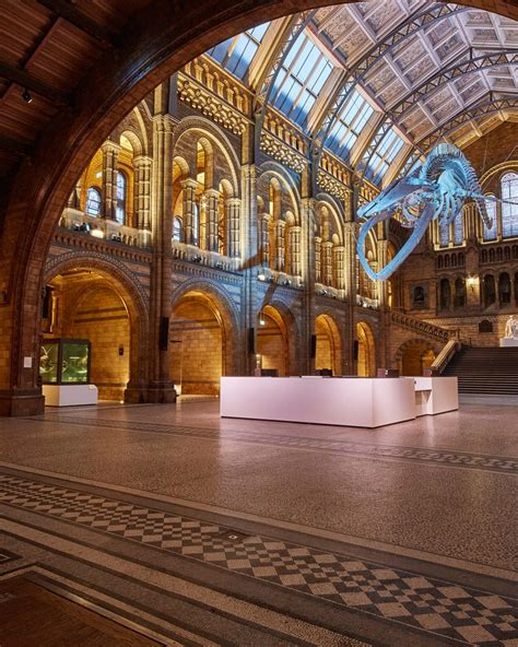 Natural History Museum, London - Culture Review - Condé Nast Traveler