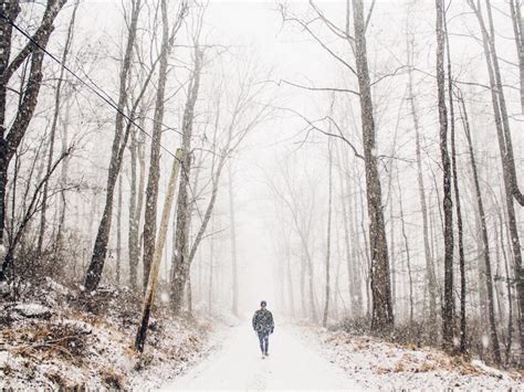 19 Winter Trails You Can Hike Without Snowshoes