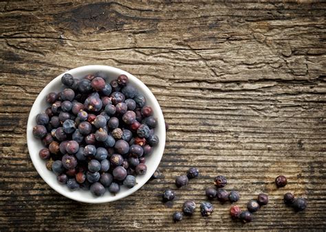 Are Juniper Berries Poisonous: Can You Eat Juniper Berries You Pick