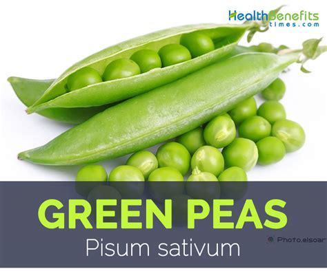 Green peas facts and health benefits