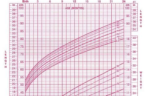 Bmi For Age Growth Chart Calculator - Aljism Blog