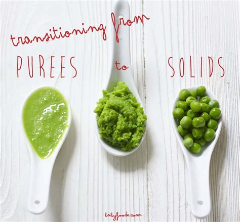 Transitioning from Purees to Solids - Baby Foode