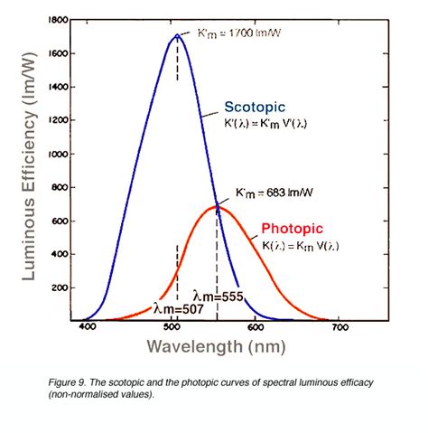 Psychophysics of Vision by Michael Kalloniatis and Charles Luu – Webvision