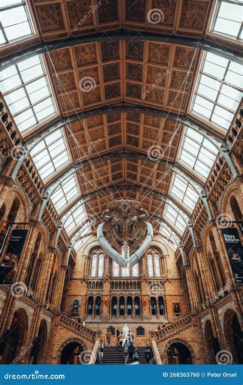 Dinosaur Skeleton in Natural History Museum in London United Kingdom ...