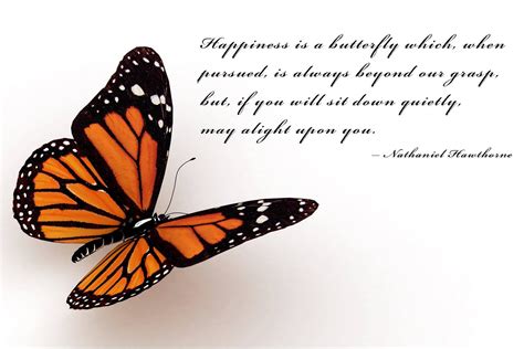 Butterfly Transformation Quotes. QuotesGram