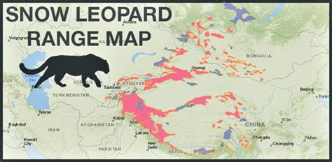 Snow Leopard Distribution Map