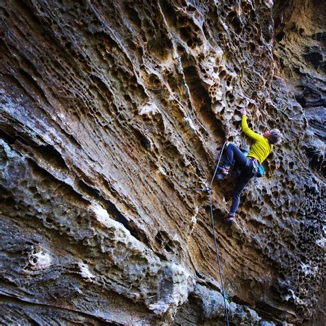 Red River Gorge - Iris Alpine