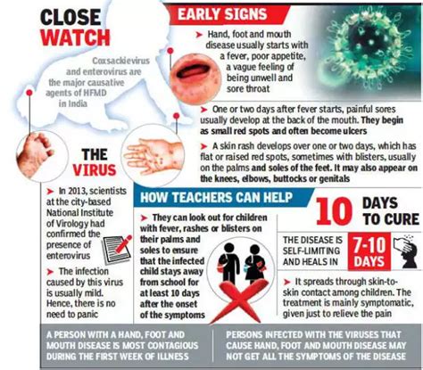 Hand Foot Mouth Rash Causes - Infoupdate.org