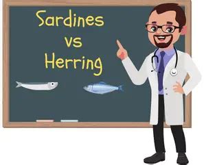 Sardines vs Herring: What’s The Difference? – NatureWord