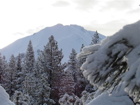 Vaughn the Road Again: Winter Wonderland ↔ Lassen Volcanic National Park