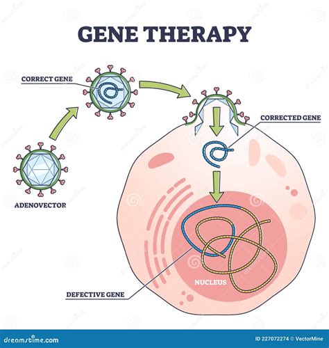 Gene Therapy Medical Treatment And Correct Genome Replacement Outline ...