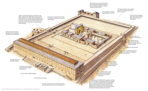 The Grammar of History: For the Temple A.D. 70