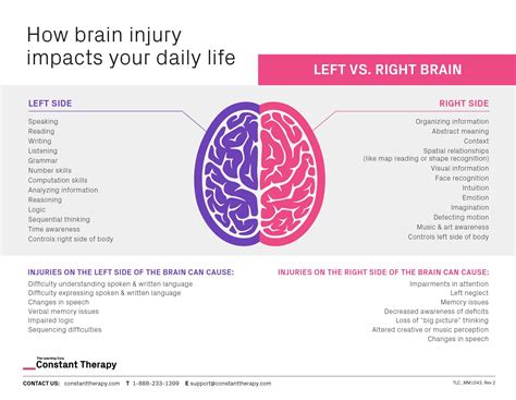 Right brain injury vs. left brain injury | understanding the impact of ...