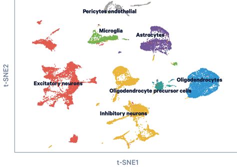 Single Cell Multiome ATAC + Gene Expression - Official 10x Genomics Support