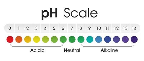 Deciphering The PH Scale: A Guide To Acidity And Alkalinity - Household ...