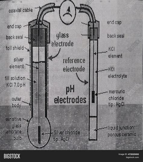 Ph Electrodes Diagram Image & Photo (Free Trial) | Bigstock