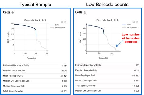 Cell Ranger's Web Summary Barcode Rank Plot - Official 10x Genomics Support