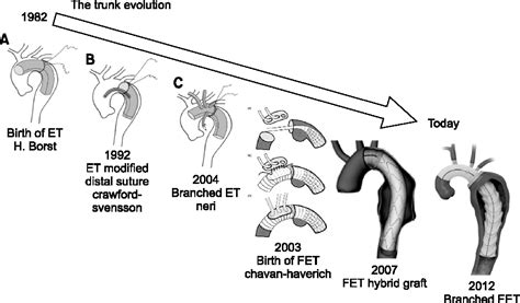 [PDF] The Frozen Elephant Trunk Technique: European Association for ...