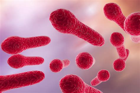 Digital illustration of Clostridium tetani, Clostridium perfringes ...