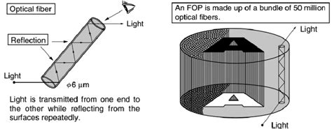 6. Microchannel plate (MCP) | Download Scientific Diagram