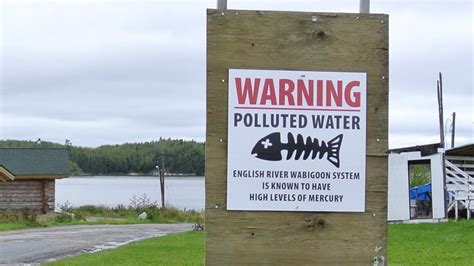 Decades later, Grassy Narrows First Nation waits for solution to ...