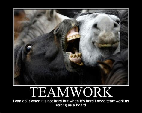 Funny Quotes About Teamwork. QuotesGram