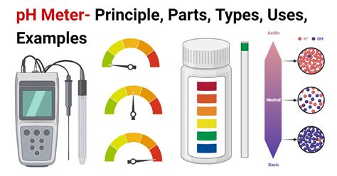 pH Meter: Principle, Parts, Procedure, Types, Uses, Examples