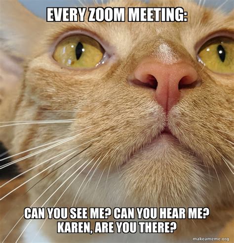 Zoom Meeting Meme : 15 Memes For Your Next Zoom Meeting Know Your Meme ...