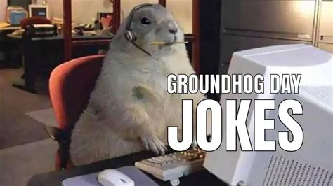 60 Funny Groundhog Day Jokes And Puns In 2024