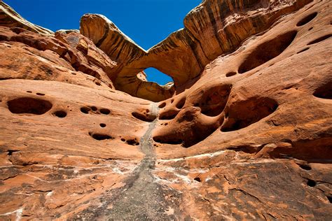 Canyonlands National Park Hikes: Top Trails Guide