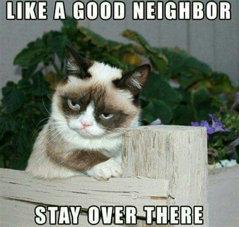 Grumpy People Can Look Really Funny Sometimes, Just Like These Memes