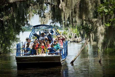 New Orleans Swamp Tours | New Orleans Airboat Swamp Tours | Swamps