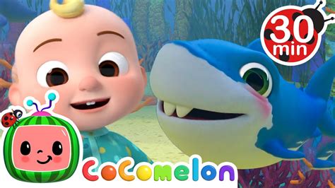 Cocomelon Kids Song Baby Shark | Images and Photos finder