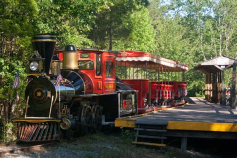 Okefenokee Swamp Tours: Which One to Pick? | Our Traveling Zoo