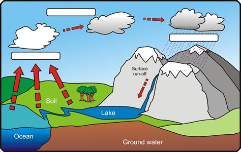 10+ Water Cycle Diagram To Label And Color PNG | Anatomy of Diagram