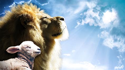 Lion Lamb Sky - Free photo on Pixabay