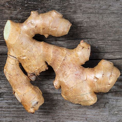 Ginger: Usefulness and Safety | NCCIH