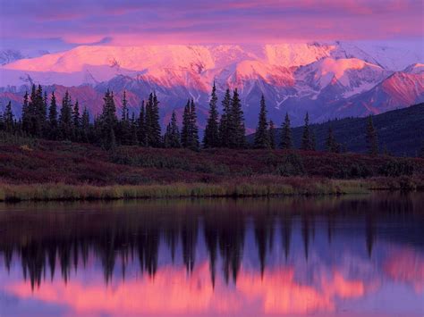 Denali National Park And Preserve Wallpapers - Wallpaper Cave