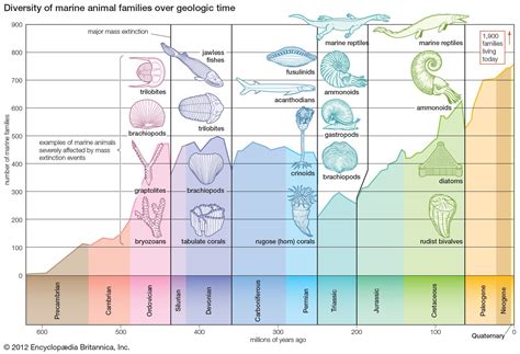 Permian extinction | Overview & Facts | Britannica