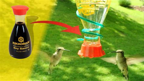 How to build a hummingbird feeder - kobo building