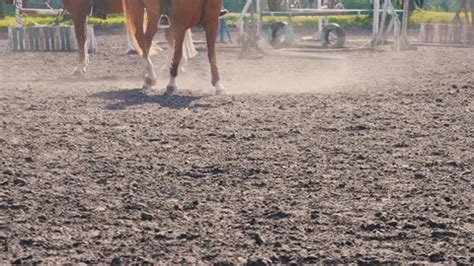 Horse Rider Walks On Training Ground Stock Footage Video (100% Royalty ...