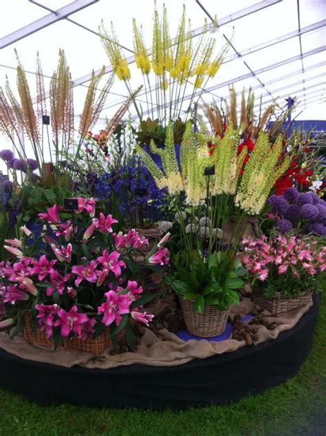 Southport Flower Show – Jacques Amand Intl