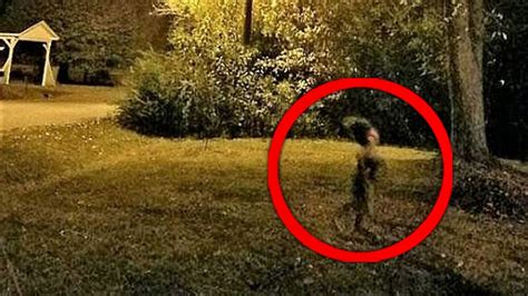 12 Strangest Cryptid Photos - YouTube