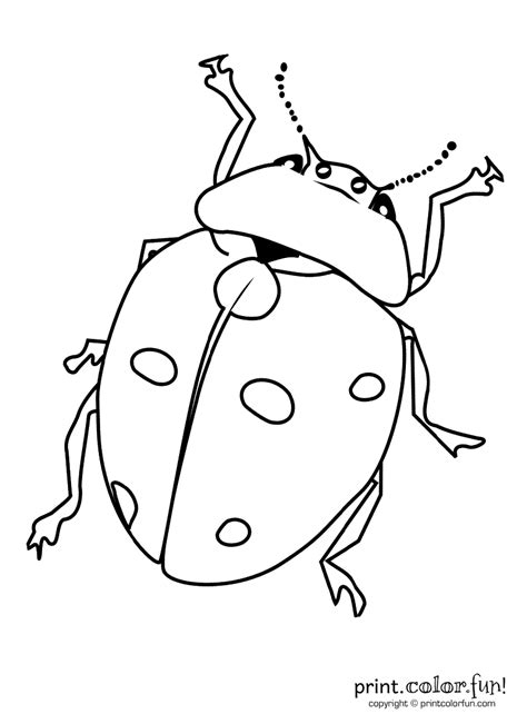 A bug, at PrintColorFun.com