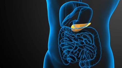 14 Signs Of A Gallbladder Attack