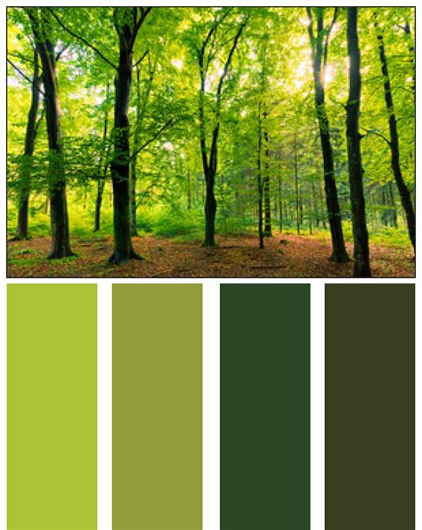 Forest Green Color Combinations