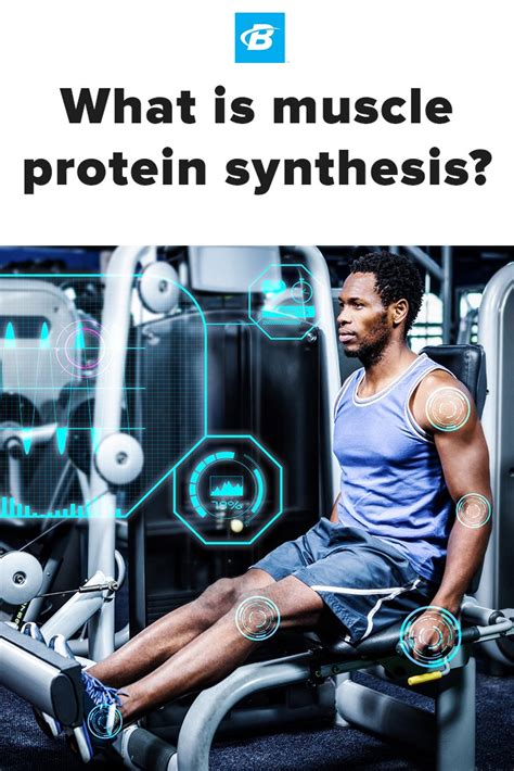 What Is Muscle Protein Synthesis?