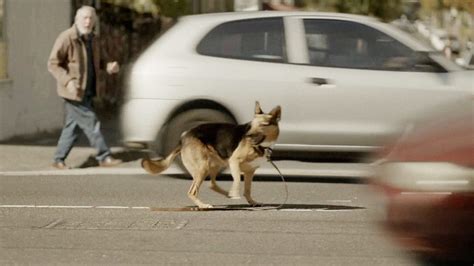 Dogs Bring Out The Best In Humanity In This Sweet Pedigree Campaign