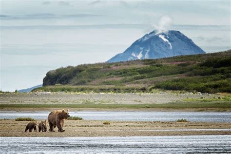 Chasing Wildlife: Photographers, Tips, Reasons, and Locations